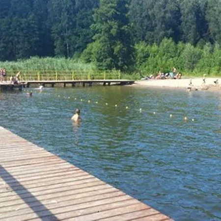 Holenderski Jasieniec