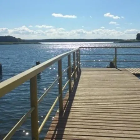 Holenderski Jasieniec Zabinki