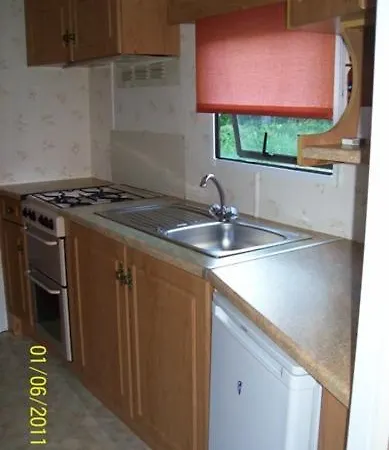 Holenderski Jasieniec *